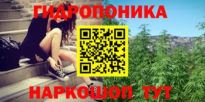 индика Абакан