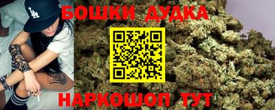 индика Абакан