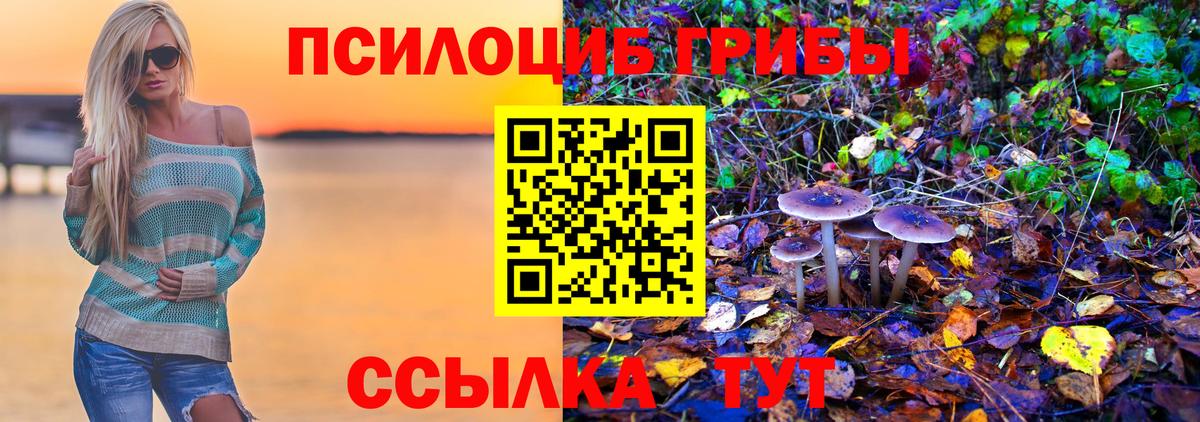 Елизово  Псилоцибиновые грибы Psilocybe  Псилоцибиновые грибы прущие грибы  Вход с VPN 